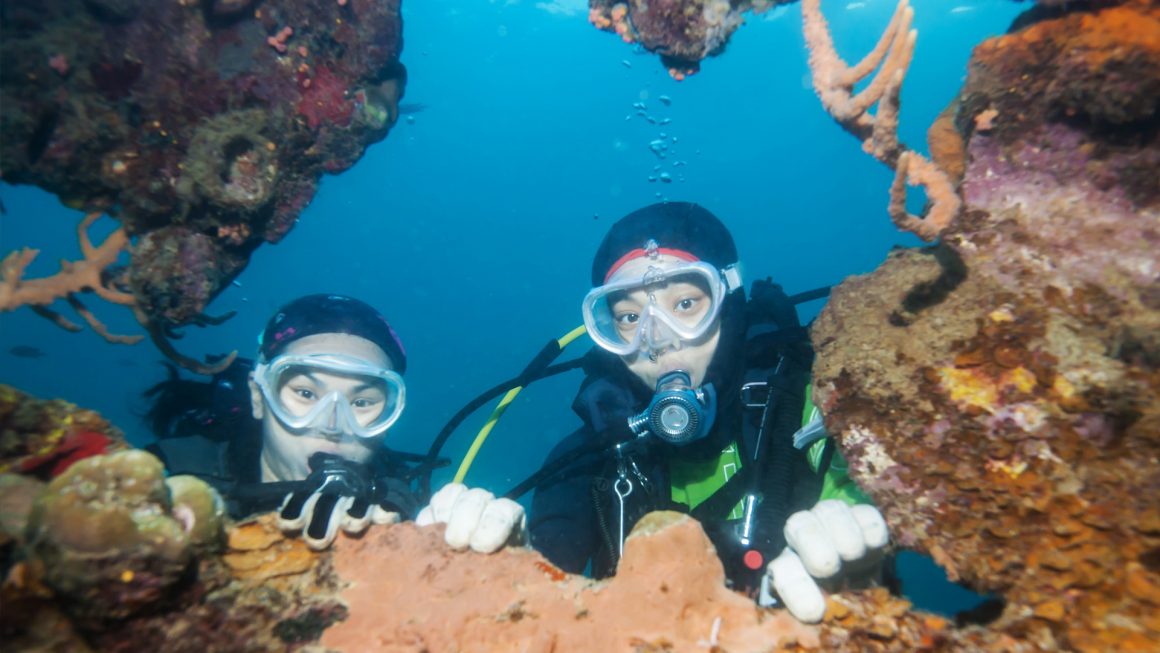 Scuba Diving in Fethiye Scuba Diving in Fethiye