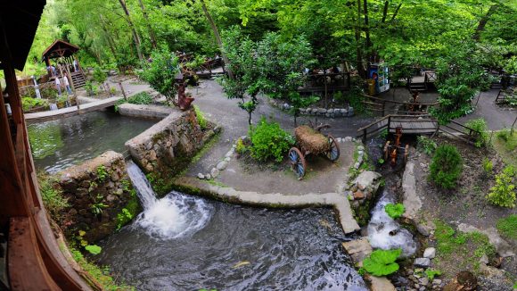 Maşukiye & Sapanca Tour